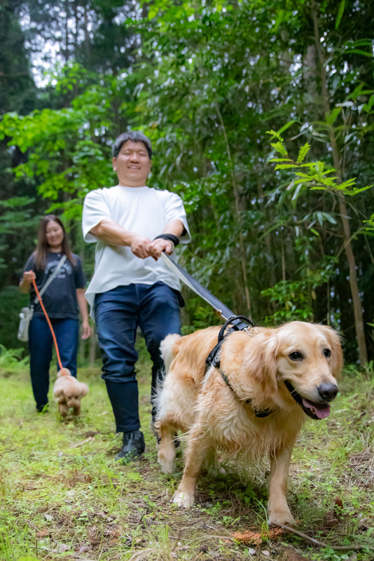 愛犬と楽しむ イメージ