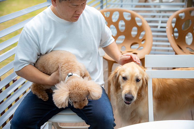 愛犬と一緒に過ごす