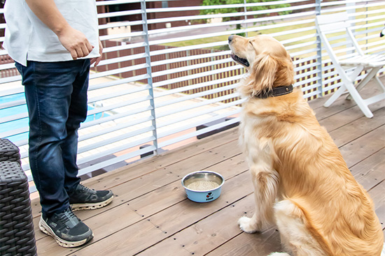 愛犬と一緒にBBQ
