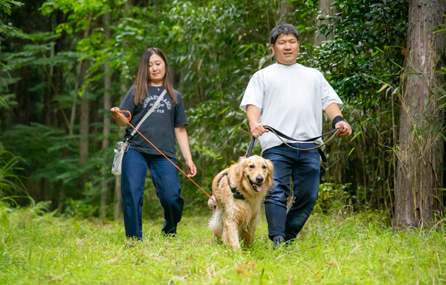 愛犬と一緒に遊ぶ