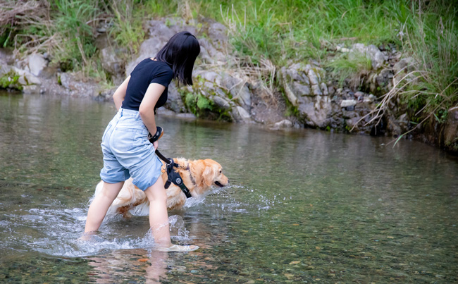 愛犬と一緒に遊ぶ