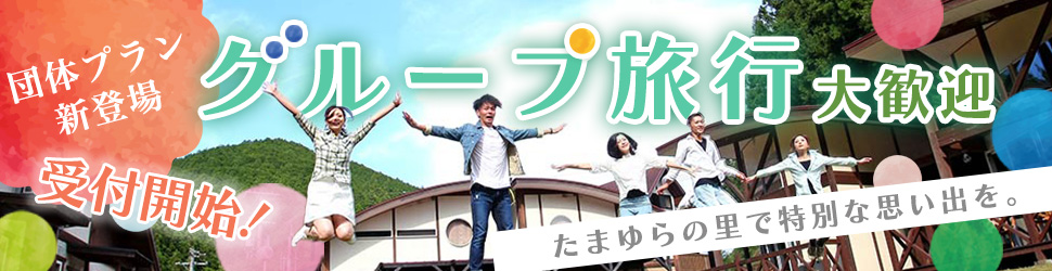 団体プラン